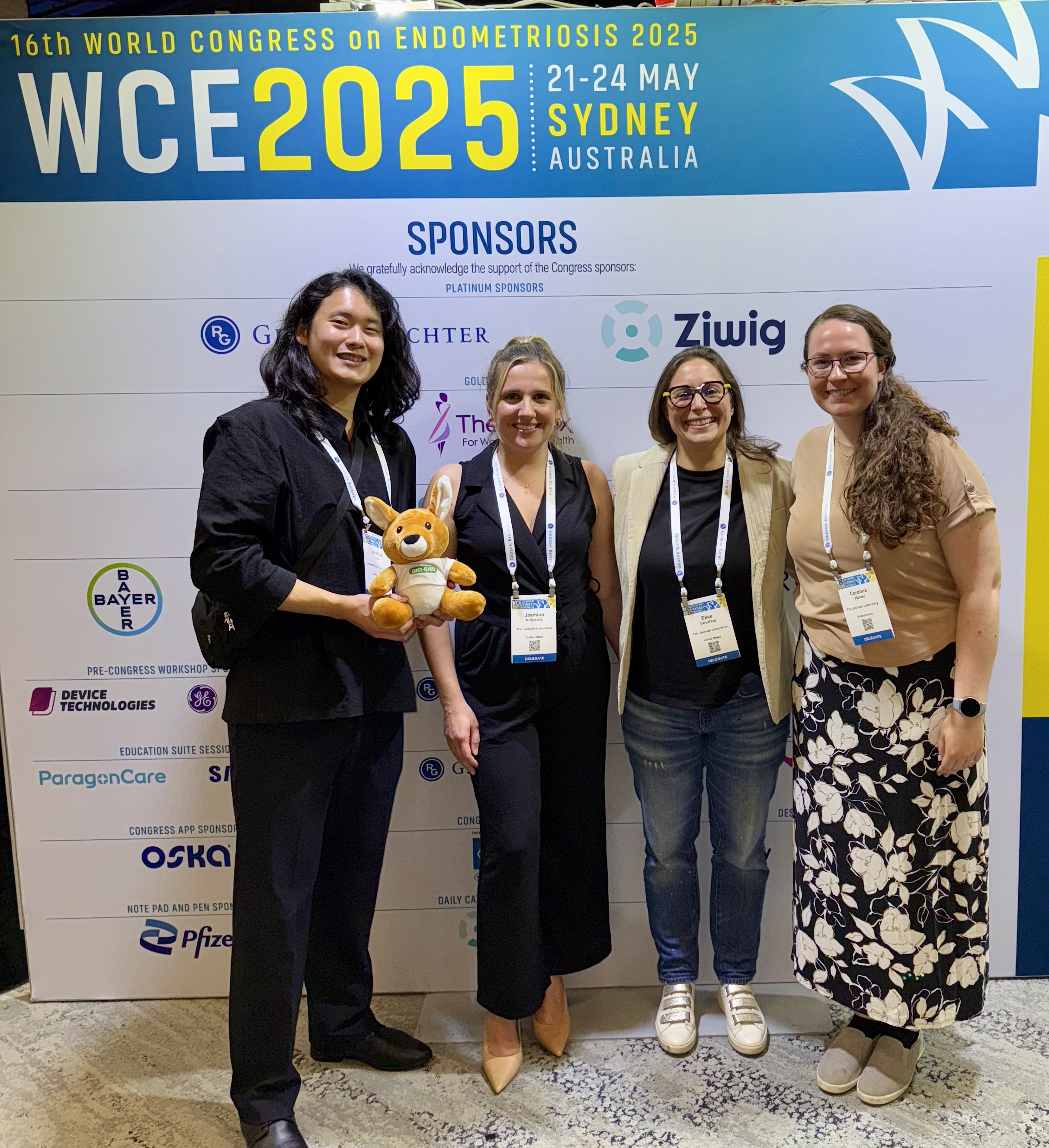 World Endometriosis Congress 