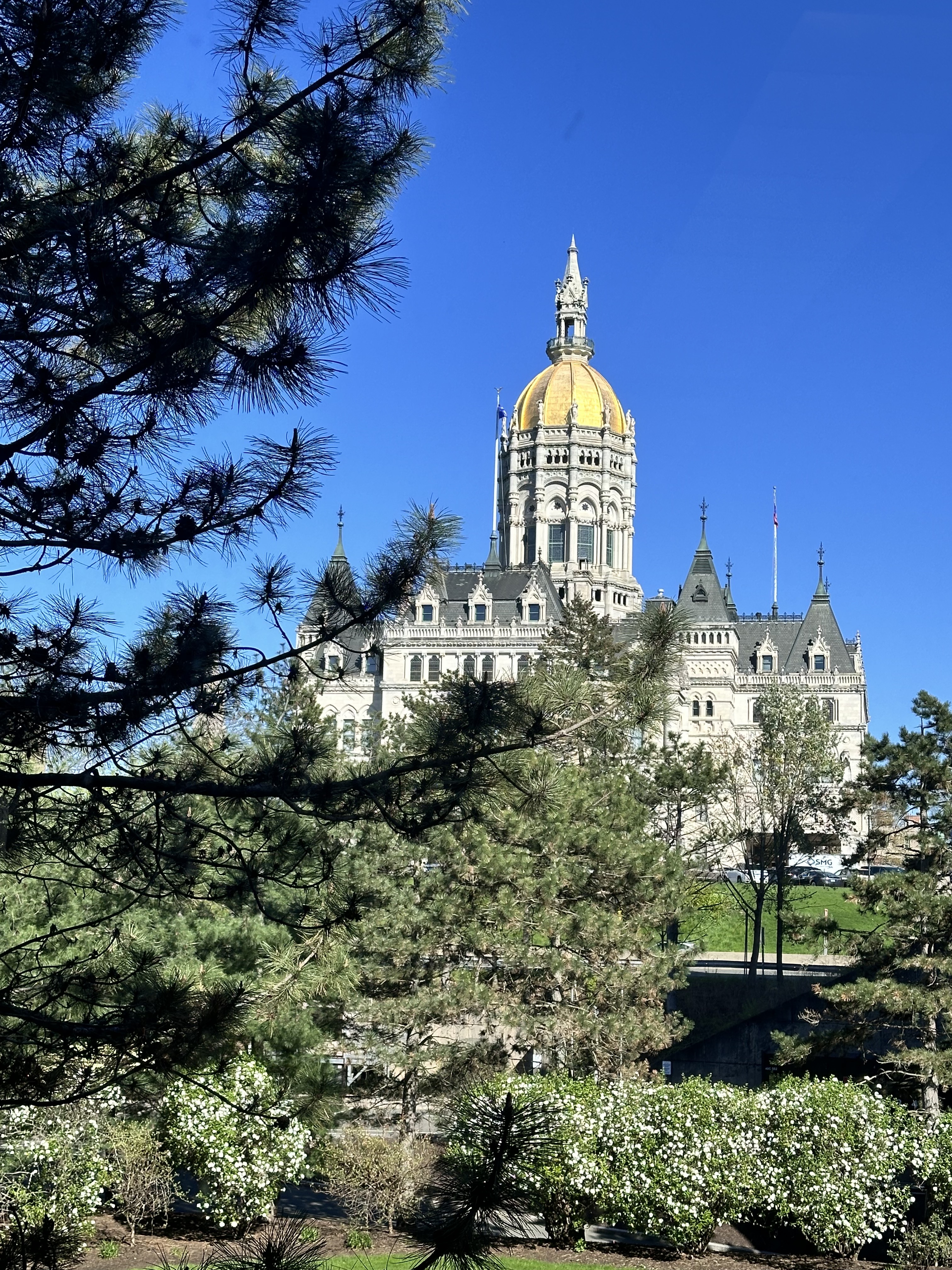Endometriosis Awareness: Legislative Breakfast and Press Conference